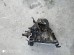 МКПП 20DM66 Citroen С4 С5 Peugeot 206 307 406 RFN RFJ EW10A RHY DW10TD