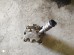 Компрессор Audi Skoda Octavia VW Golf Polo Bora J0820803K