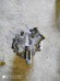 Компрессор Opel Vectra C Signum 13217307
