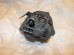 Генератор Honda Civic D14 D15 D16 D17A ahga50