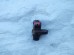 Датчик коленвала Mazda ZY ZJ01-7903 J5T30471
