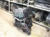 Двигатель Mitsubishi Colt 4G15T Turbo 1.5L