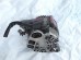 Генератор Toyota 1SZ 27060-23010 70A 3pin