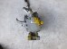  Компрессор Кондиционера Toyota Passo 1KR 447280-3150