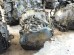 АКПП TOYOTA PASSO KGC10 1KR-FE  A4BD02A